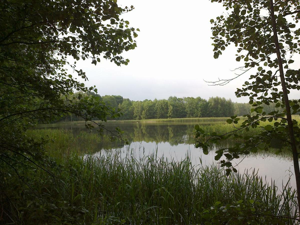 Holiday home Knappensee Lohsa